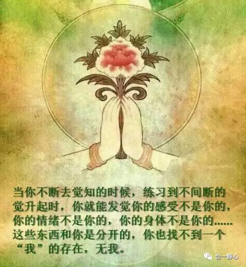谢谢你的爱_900字