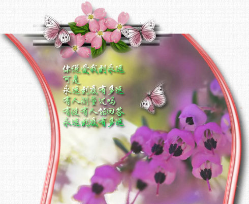 翅膀蝴蝶_550字