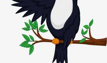 狐狸骗了乌鸦之后_400字