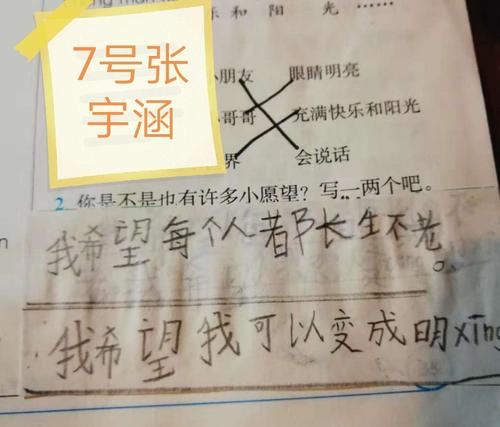 我的愿望_250字
