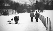 琴声感动我心_750字