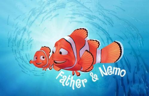 查看“男孩动员”是_800字的感觉