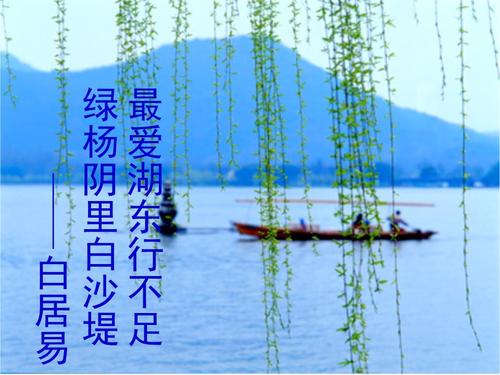这条河的最爱是不足的_1000字