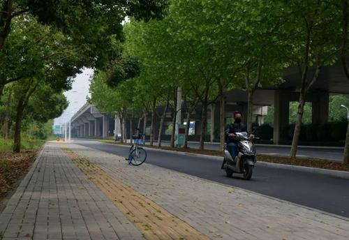 我在宝河_800字中