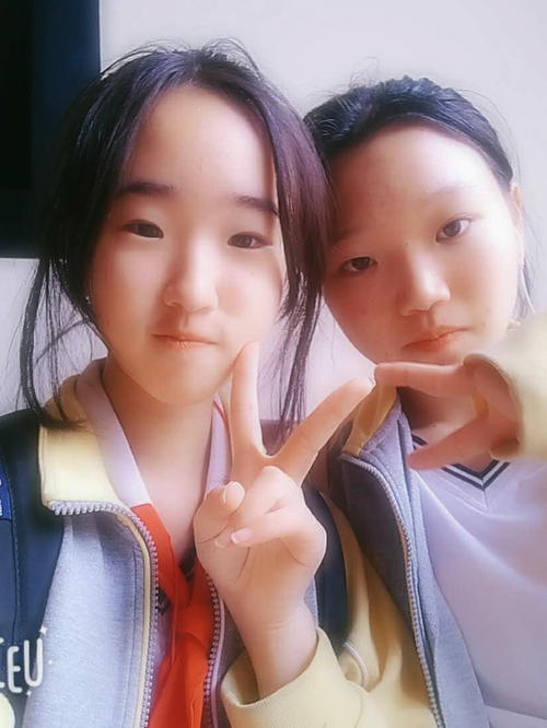 中学生向日记开始“梦想”