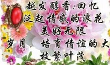 我的旧同学_300字