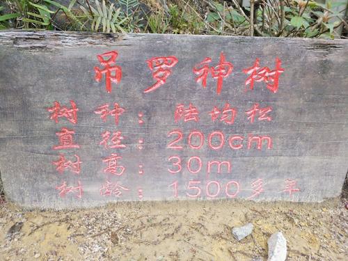 关怀不在_750字中