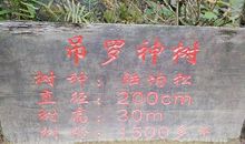 关爱无处不在_750字