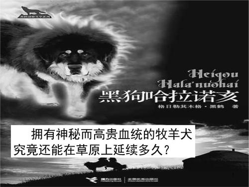 关心生活，从我开始 - 阅读“黑狗哈拉尼亚”_1000字