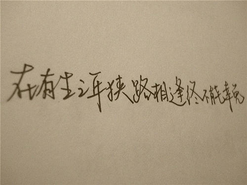 照顾领域的心脏_600字