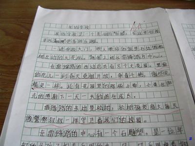 高中测试组成：我的旅行日记_900字