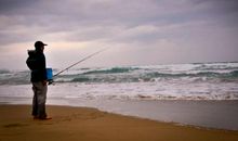 清晨里的孤独_900字