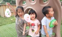 六月飞火——华卿似水_50字