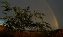 光影（一）_600字