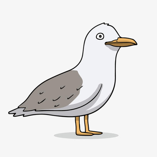 小鸽子_300字