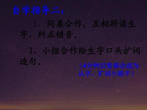 不要问这就是为什么_200字