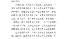 难忘的小学生活_600字