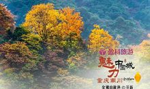 重庆，留了一点纪念的地方_900字