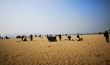 我终于看到了大海_300字