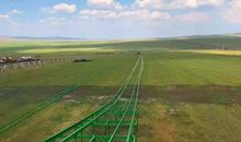 寻觅心底那一片火红_800字