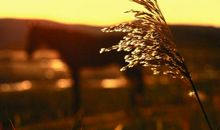 遗失的美好_400字