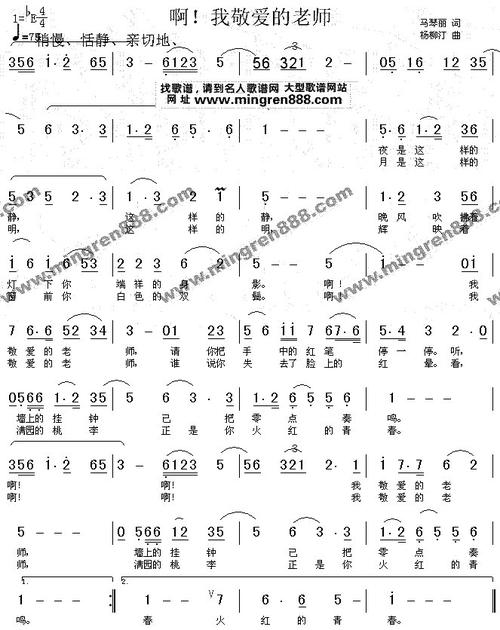 我尊重老师，杨老师_650字
