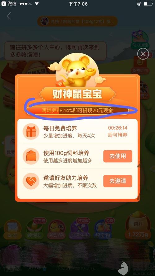 重点并不意味着忽略规则_750字