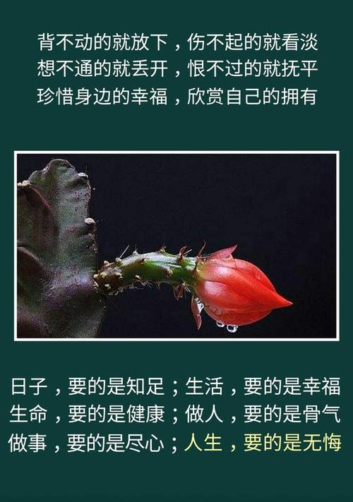 抓住今天，它明天抓住_1000字