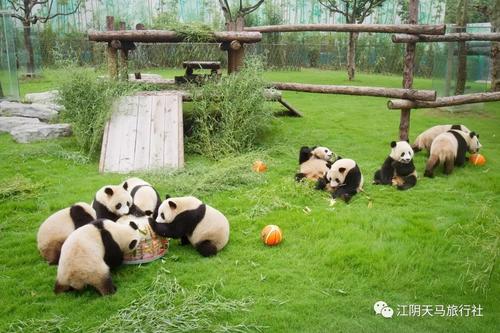 巡回巡回赛野生动物Park_800字