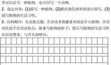 常见100种作文写作方法(5):写人方法