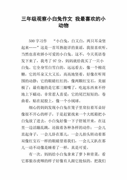 小白兔_250字
