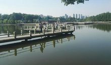 醉人的西湖_500字