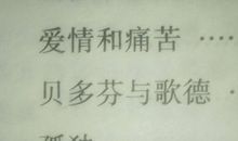 贝多芬的故事_700字