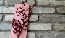 人性背后是白云苍狗_550字