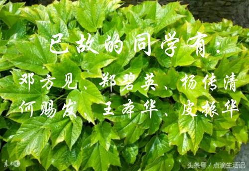 解释，死记忆_900字