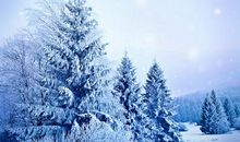 关于冬天寒冷的句子