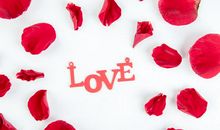 颂我最至爱的人_1200字