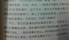 关于动物的作文：黑骏马_800字