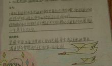 初一读书笔记：回忆美好，难忘童年_450字