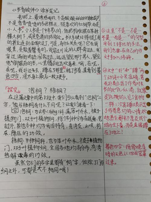 第一读注意：阅读笔记“向西之旅”_450字