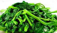 关于动物的作文：女孩曼拉和小鸟可利儿_800字