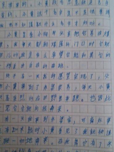 与动物的组成：到，我的竹马_1200字