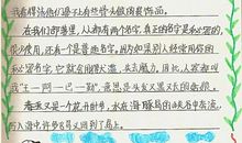 初一读书笔记：狼王梦_450字