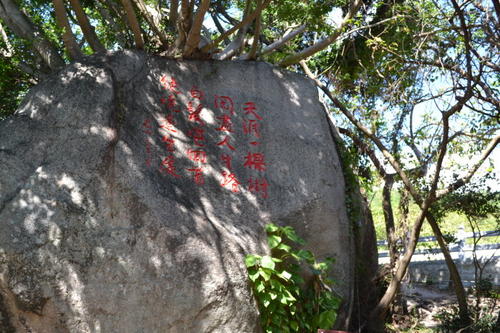 第一读注意：绝望的强壮人员_500字