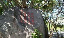 初一读书笔记：绝境中的坚强者_500字