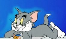 高三议论文：狗拿耗子真的多管闲事?_900字