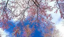 形容冬天寒风刺骨的句子_3000字