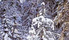 描写冬天下雪的句子大全_3000字