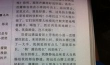 关于夏天的作文：夏天的雨_500字