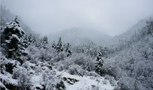 描写大雪纷飞的句子_2000字